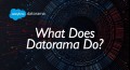 What does Datorama do
